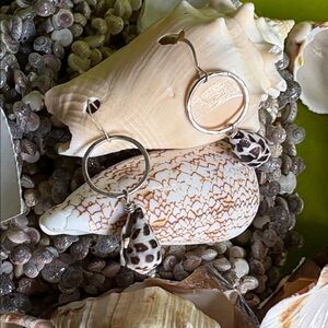 Hawaiian Hebrew Cone Shell With 14 Sterling Silver Gauge Circle Hoops